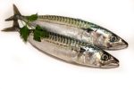 Caballa (1u. 500gr)