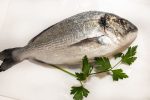 Dorada Nacional (1u. 600gr)