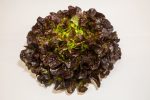 Lechuga de Robre Rojo (1u. 400gr)